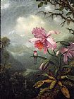Hummingbird Perched on an Orchid Plant by Martin Johnson Heade